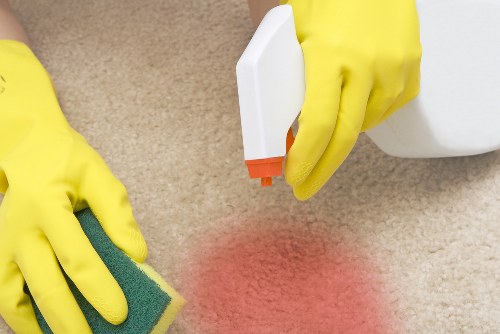 Pet stain cleanup on a carpeted floor