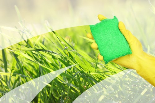 Professional Kingston carpet cleaners restoring a living room carpet