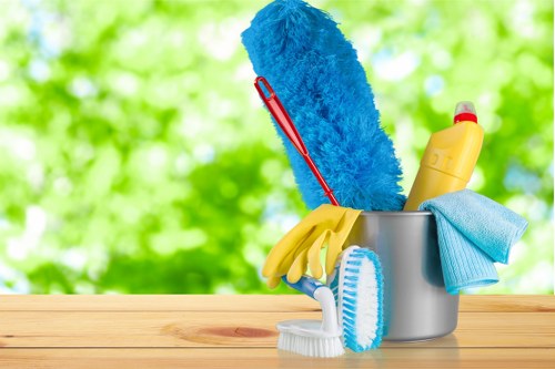 Professional mattress cleaning removing dust and allergens from a bedroom mattress