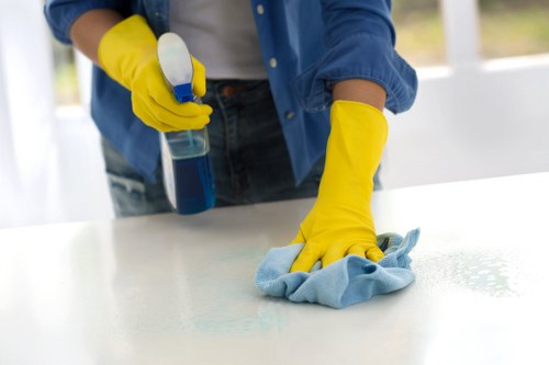 Home curtain cleaning tools arranged for gentle fabric care