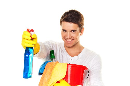 Cleaning solution applied to a pet urine stain