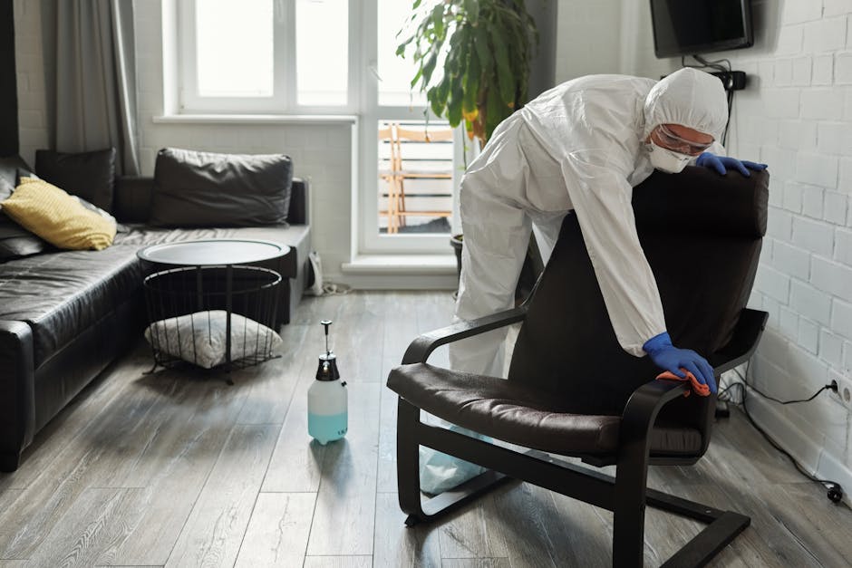 A professional cleaner from Kingston Carpet Cleaners is performing surface cleaning and sanitisation in a modern living room, part of a domestic cleaning service. The worker is dressed in a white protective suit, gloves, and a face mask, and is wiping down a black leather armchair with a cloth. The room features a dark leather sofa with decorative cushions, a small round side table, and a white brick wall with a mounted flat-screen TV. Natural light enters through a large window, illuminating the wooden flooring and the clean, tidy space. Cleaning supplies, including a spray bottle, are visible in the scene, indicating thorough deep cleaning and upholstery care.