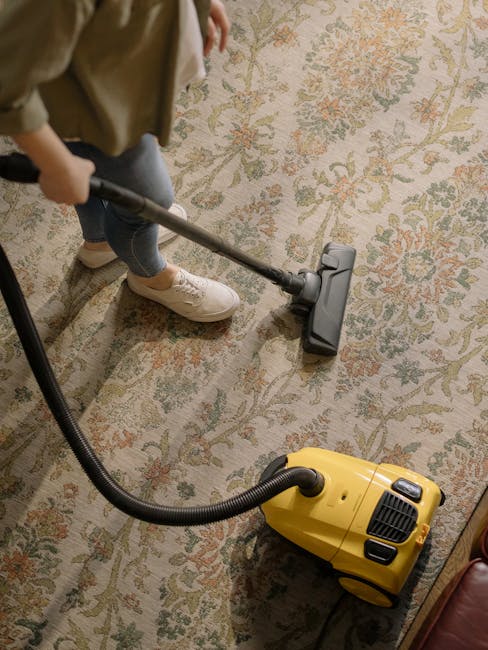 A young boy vacuuming a beige sofa in a living room with natural light from large windows, using a handheld vacuum cleaner connected to a portable cleaning unit. An elderly man with gray hair and glas